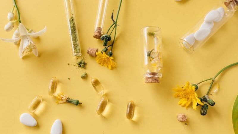 plantes medicinales